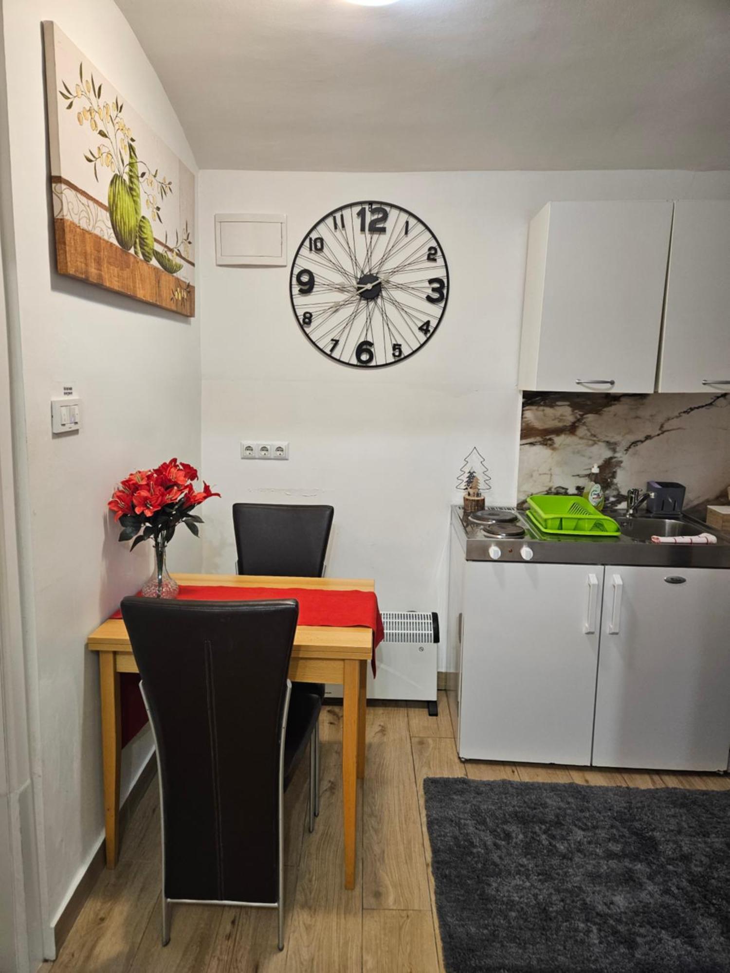 Apartment Maja - Strict Center Of ザグレブ エクステリア 写真