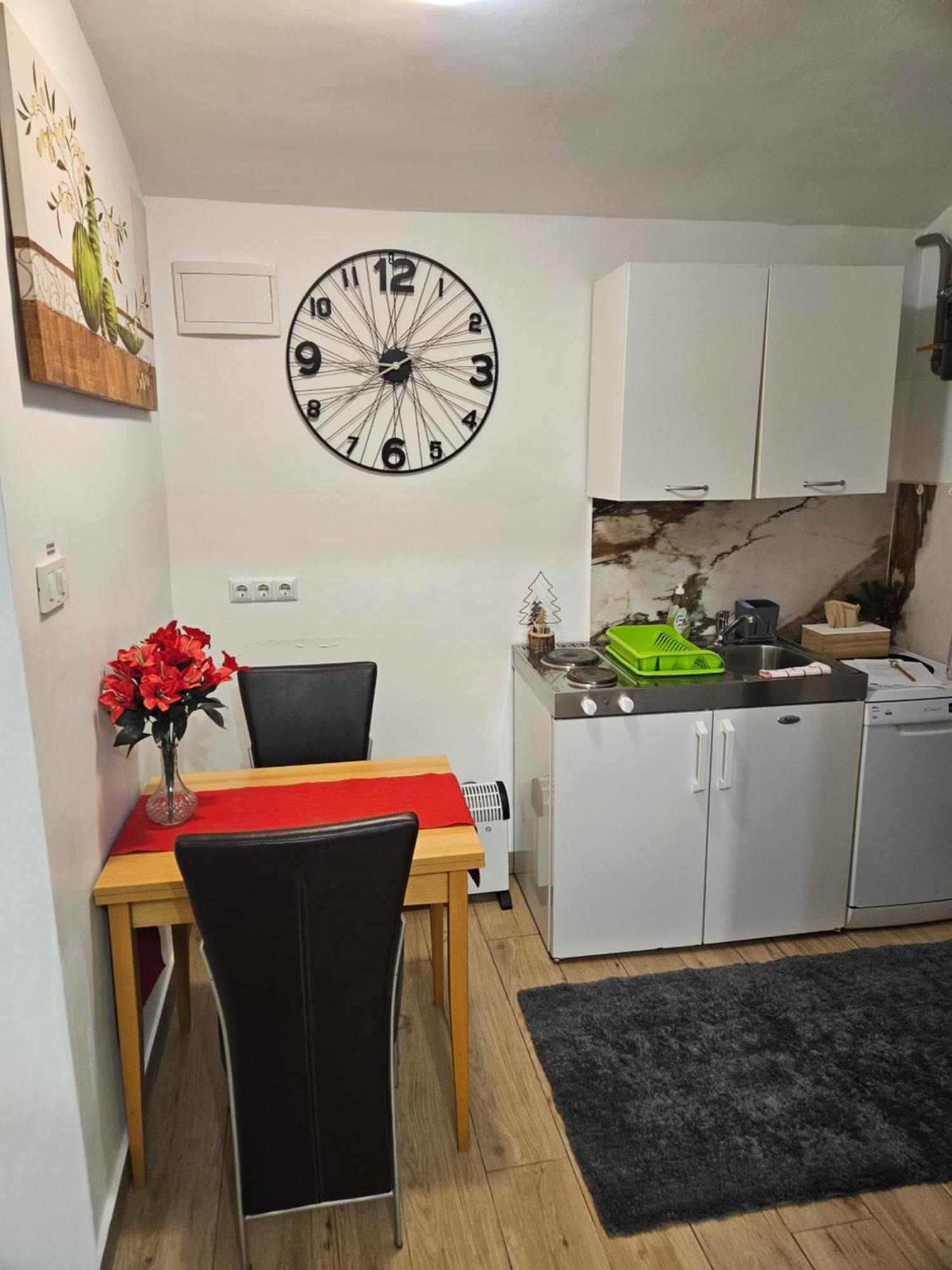 Apartment Maja - Strict Center Of ザグレブ エクステリア 写真