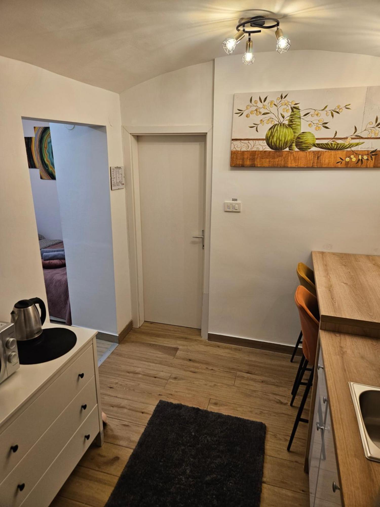 Apartment Maja - Strict Center Of ザグレブ エクステリア 写真