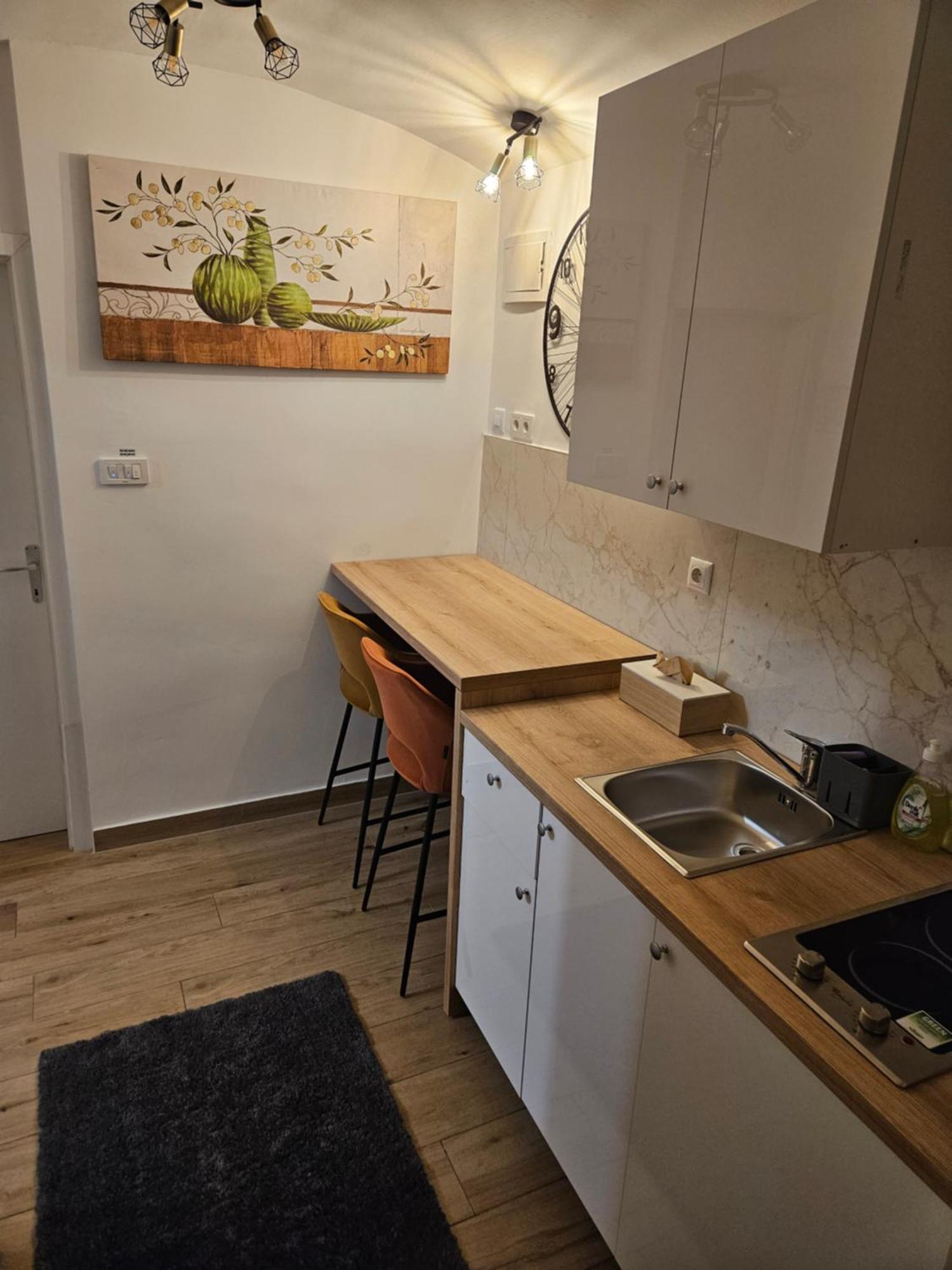 Apartment Maja - Strict Center Of ザグレブ エクステリア 写真
