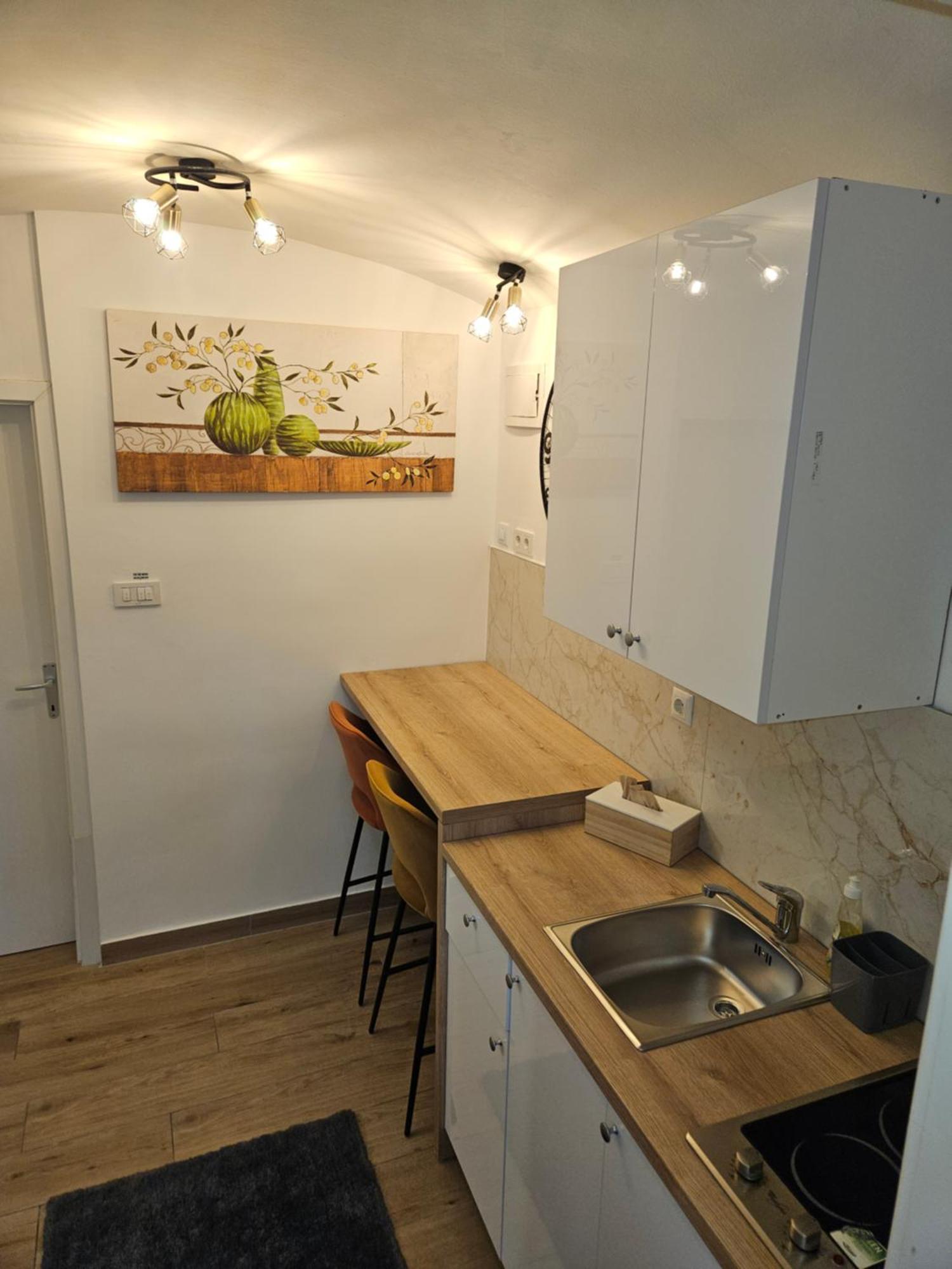 Apartment Maja - Strict Center Of ザグレブ エクステリア 写真